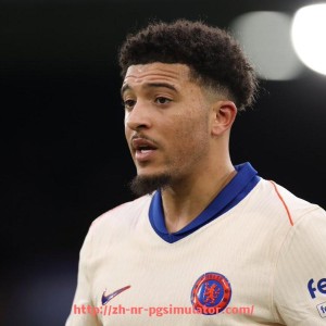 PG电子在线试玩入口-NBA火箭队比赛录像全场回顾与技战术解读