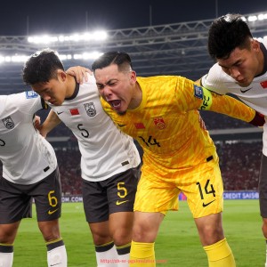 PG电子在线试玩入口-斑马军团意甲球队球员名单及阵容分析